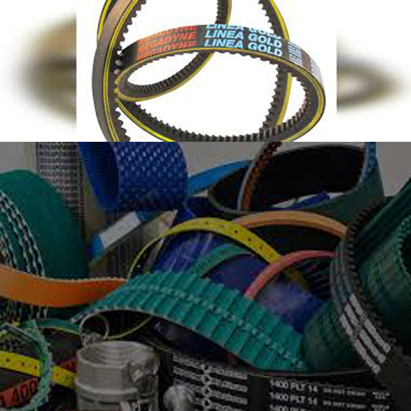 TRANSMISII CU CURELE